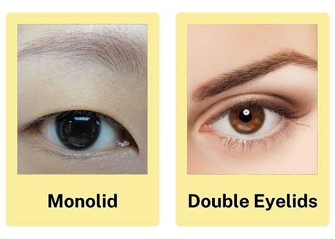 monolid ogen|Monolids VS. Double Eyelids